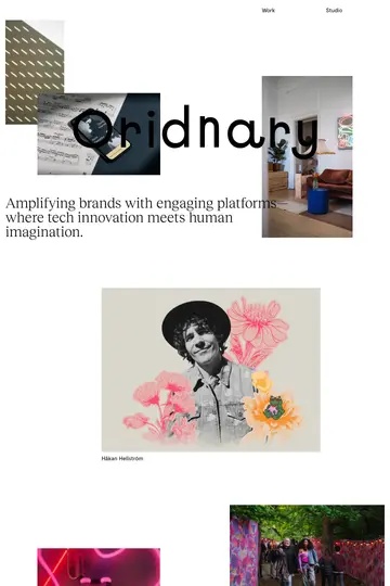 Oridnary website homepage