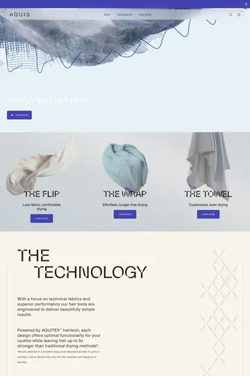 Aquis website homepage