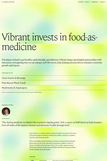 Vibrant Ventures website homepage