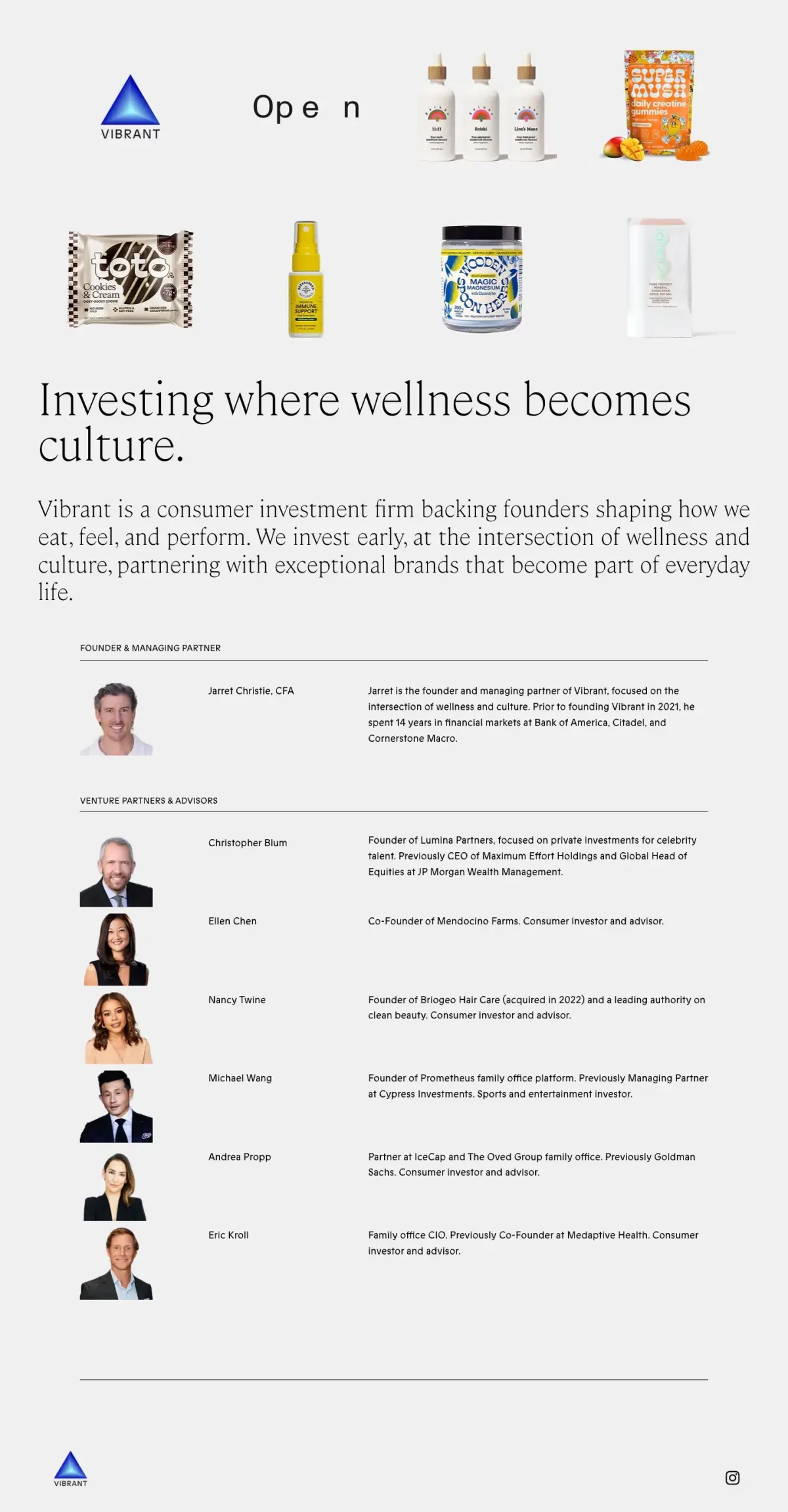 Full-page screenshot of the Vibrant Ventures website